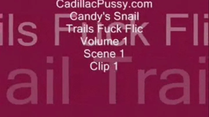 Candy's Snail Trails Fuck Flic Vol. 1 Scene 1 Clip 1