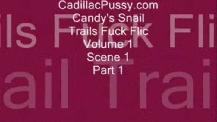 Candy's Snail Trails Fuck Flic Vol. 1 Scene 1 Part 1