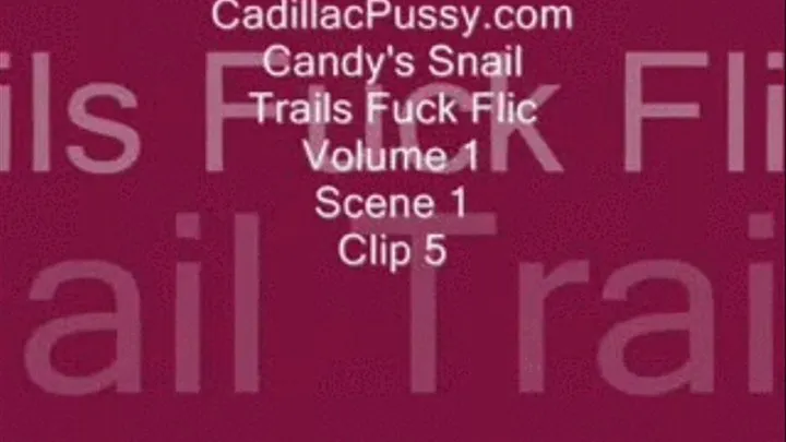 Candy's Snail Trails Fuck Flic Vol. 1 Scene 1 Clip 5