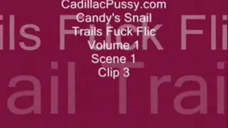 Candy's Snail Trails Fuck Flic Vol. 1 Scene 1 Clip 3