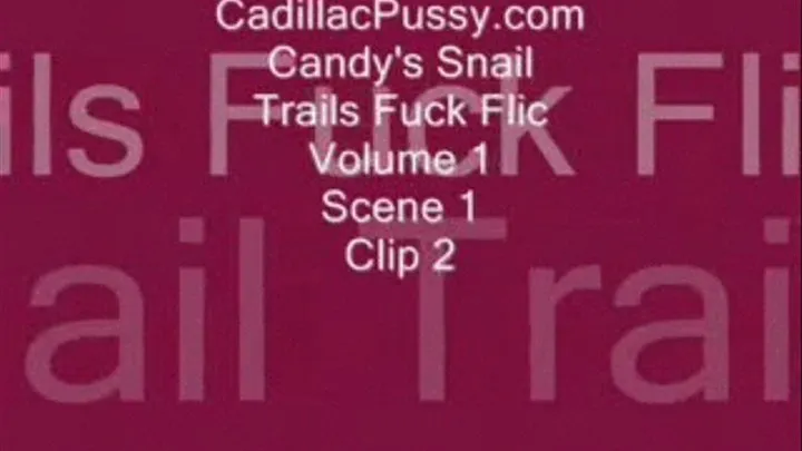 Candy's Snail Trails Fuck Flic Vol. 1 Scene 1 Clip 2