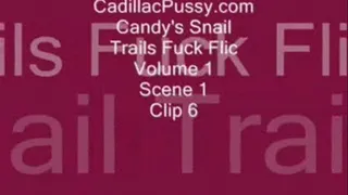 Candy's Snail Trails Fuck Flic Vol. 1 Scene 1 Clip 6