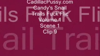 Candy's Snail Trails Fuck Flic Vol. 1 Scene 1 Clip 9