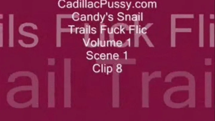 Candy's Snail Trails Fuck Flic Vol. 1 Scene 1 Clip 8