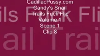 Candy's Snail Trails Fuck Flic Vol. 1 Scene 1 Clip 8