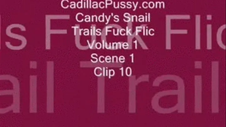 Candy's Snail Trails Fuck Flic Vol. 1 Scene 1 Clip 10