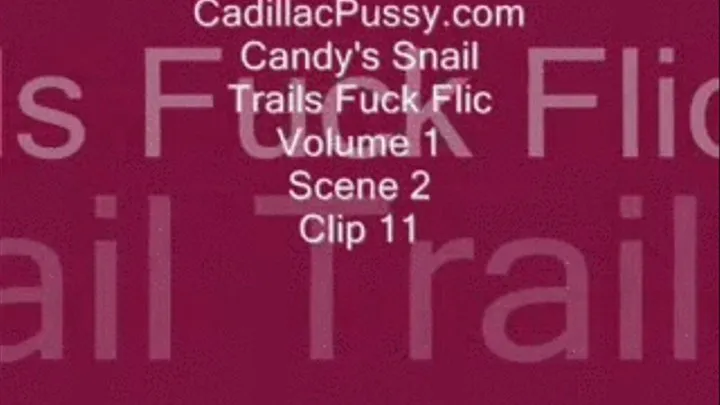 Candy's Snail Trails Fuck Flic Vol. 1 Scene 2 Clip 11