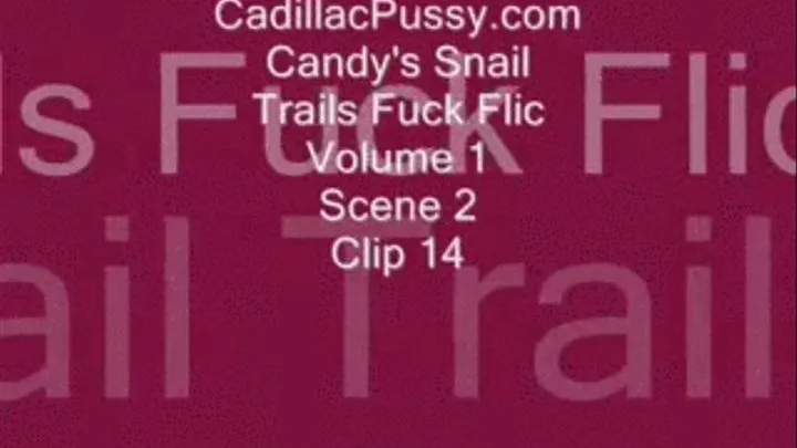 Candy's Snail Trails Fuck Flic Vol. 1 Scene 2 Clip 14