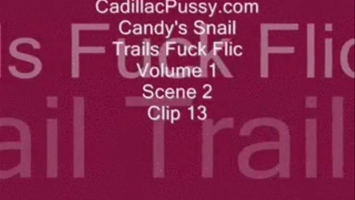 Candy's Snail Trails Fuck Flic Vol. 1 Scene 2 Clip 13