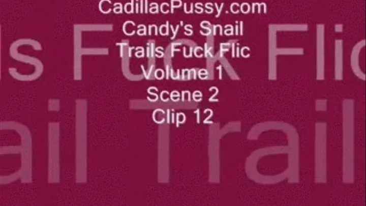 Candy's Snail Trails Fuck Flic Vol. 1 Scene 2 Clip 12