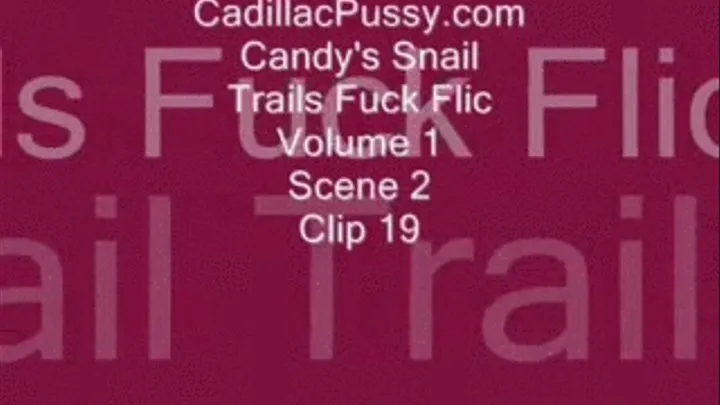 Candy's Snail Trails Fuck Flic Vol. 1 Scene 2 Clip 19