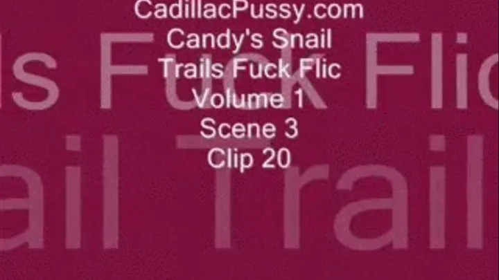 Candy's Snail Trails Fuck Flic Vol. 1 Scene 3 Clip 20