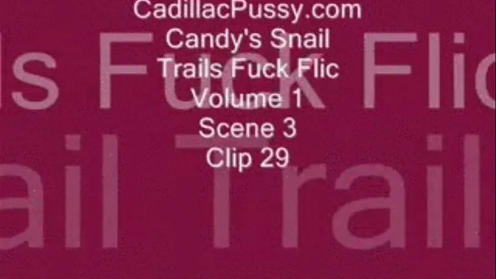 Candy's Snail Trails Fuck Flic Vol. 1 Scene 3 Clip 29