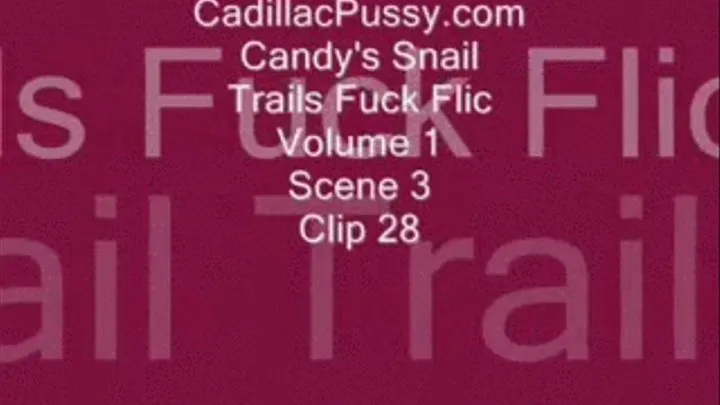 Candy's Snail Trails Fuck Flic Vol. 1 Scene 3 Clip 28