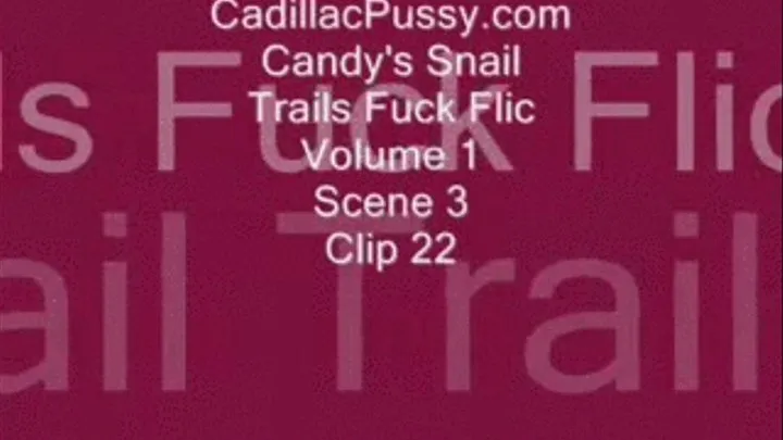 Candy's Snail Trails Fuck Flic Vol. 1 Scene 3 Clip 22