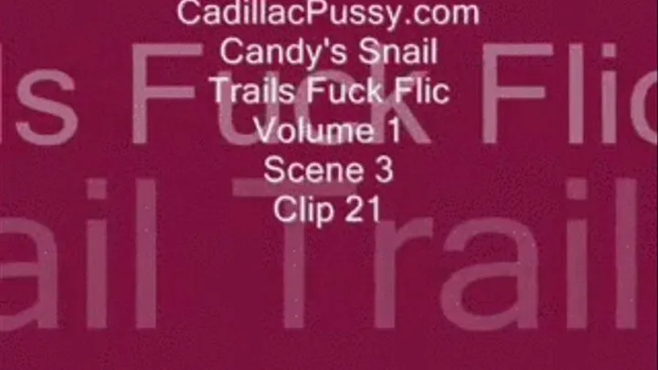 Candy's Snail Trails Fuck Flic Vol. 1 Scene 3 Clip 21