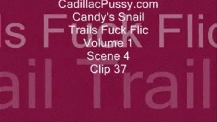 Candy's Snail Trails Fuck Flic Vol. 1 Scene 4 Clip 37