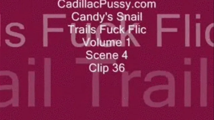 Candy's Snail Trails Fuck Flic Vol. 1 Scene 4 Clip 36