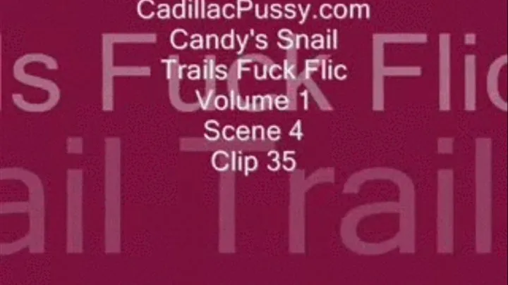 Candy's Snail Trails Fuck Flic Vol. 1 Scene 4 Clip 35