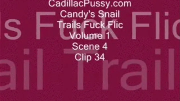 Candy's Snail Trails Fuck Flic Vol. 1 Scene 4 Clip 34