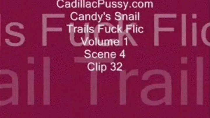 Candy's Snail Trails Fuck Flic Vol. 1 Scene 4 Clip 32