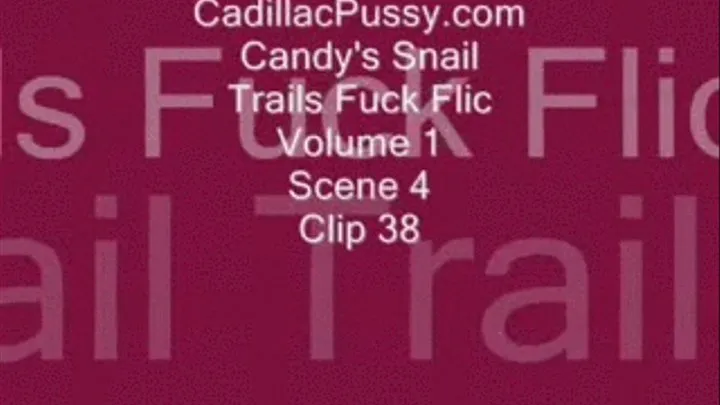 Candy's Snail Trails Fuck Flic Vol. 1 Scene 4 Clip 38