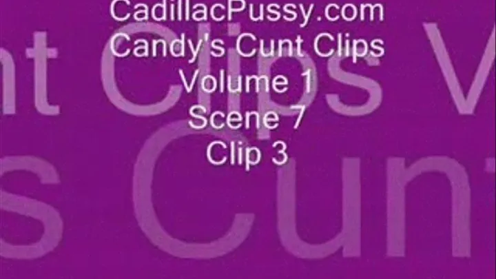 Candy's Cunt Clips Vol 1 Scene 7 Clip 3