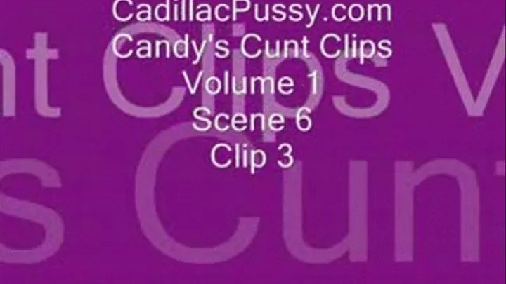 Candy's Cunt Clips Vol 1 Scene 6 Clip 3