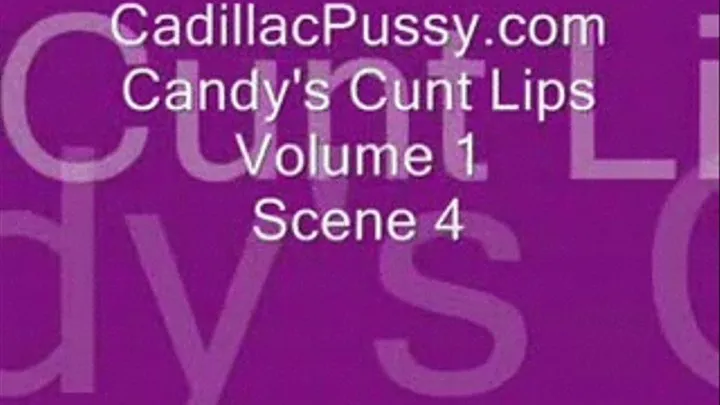 Candy's Cunt Clips Vol 1 Scene 4