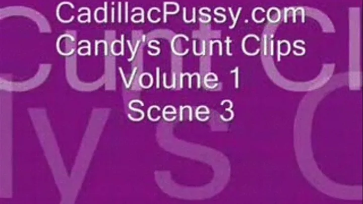 Candy's Cunt Clips Vol 1 Scene 3