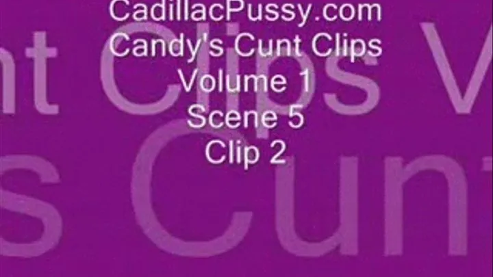 Candy's Cunt Clips Vol 1 Scene 5 Clip 2