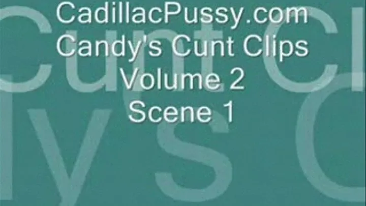 Candy's Cunt Clips Vol 2 Scene 1