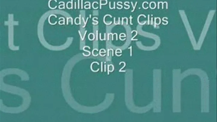 Candy's Cunt Clips Vol 2 Scene 1 Clip 2