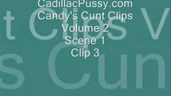 Candy's Cunt Clips Vol 2 Scene 1 Clip 3