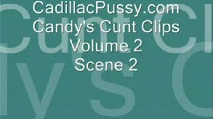 Candy's Cunt Clips Vol 2 Scene 2