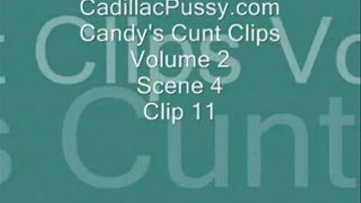 Candy's Cunt Clips Vol 2 Scene 4 Clip 11