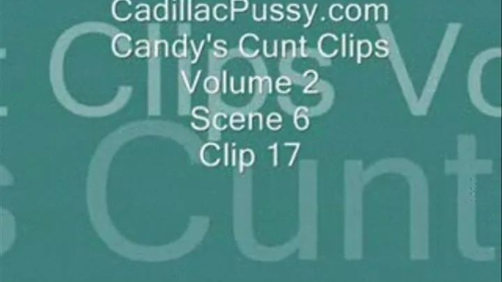 Candy's Cunt Clips Vol 2 Scene 6 Clip 17