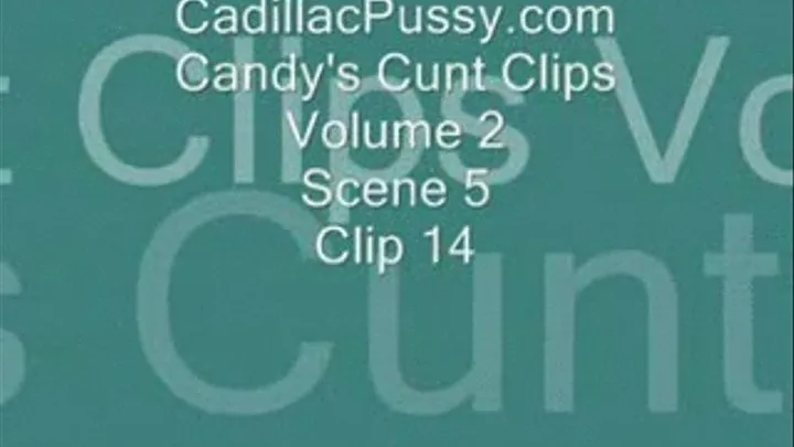 Candy's Cunt Clips Vol 2 Scene 5 Clip 14