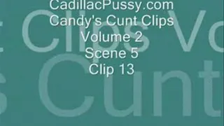 Candy's Cunt Clips Vol 2 Scene 5 Clip 13