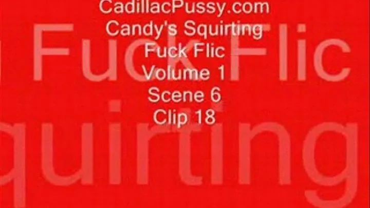 Candy's Squirting Fuck Flic Vol 1 Scene 6 Clip 18