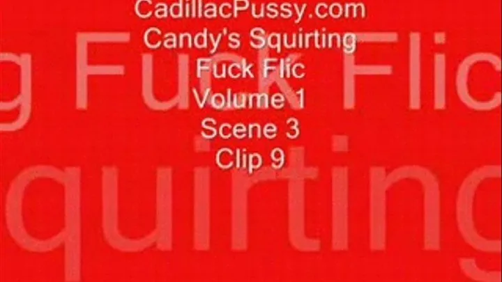 Candy's Squirting Fuck Flic Vol 1 Scene 3 Clip 9