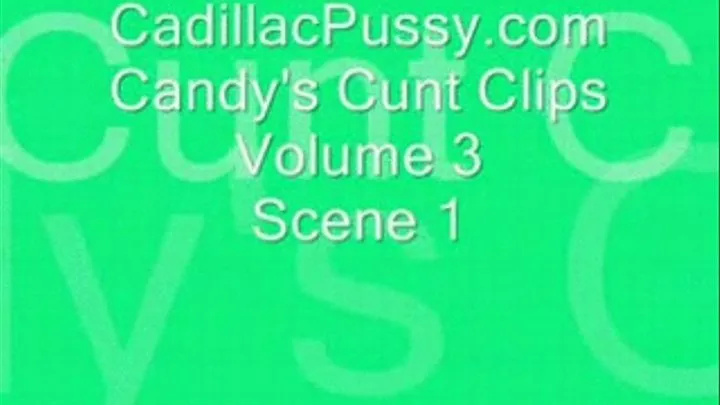 Candy's Cunt Clips Vol 3 Scene 1