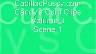 Candy's Cunt Clips Vol 3 Scene 1