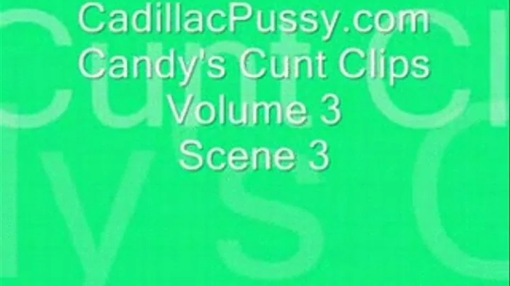 Candy's Cunt Clips Vol 3 Scene 3