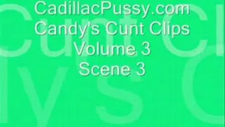 Candy's Cunt Clips Vol 3 Scene 3