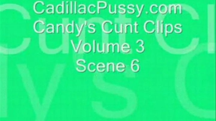 Candy's Cunt Clips Vol 3 Scene 6