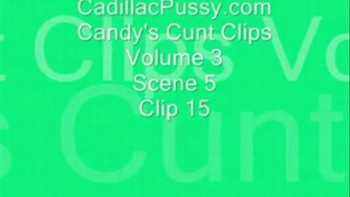 Candy's Cunt Clips Vol 3 Scene 5 Clip 15