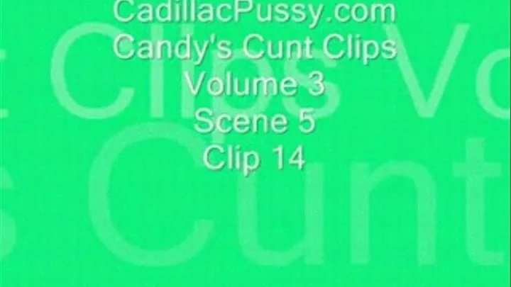 Candy's Cunt Clips Vol 3 Scene 5 Clip 14