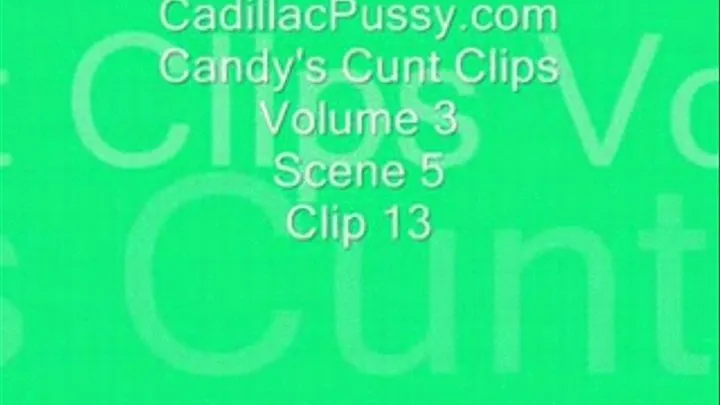 Candy's Cunt Clips Vol 3 Scene 5 Clip 13