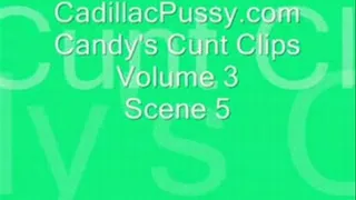 Candy's Cunt Clips Vol 3 Scene 5